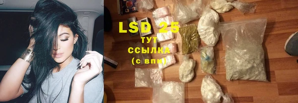 прущие грибы Балабаново