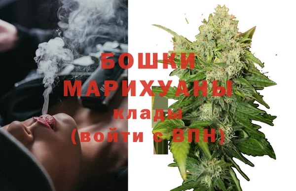 прущие грибы Балабаново