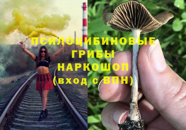 герыч Арсеньев