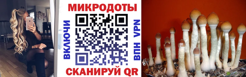 Галлюциногенные грибы GOLDEN TEACHER  Льгов 